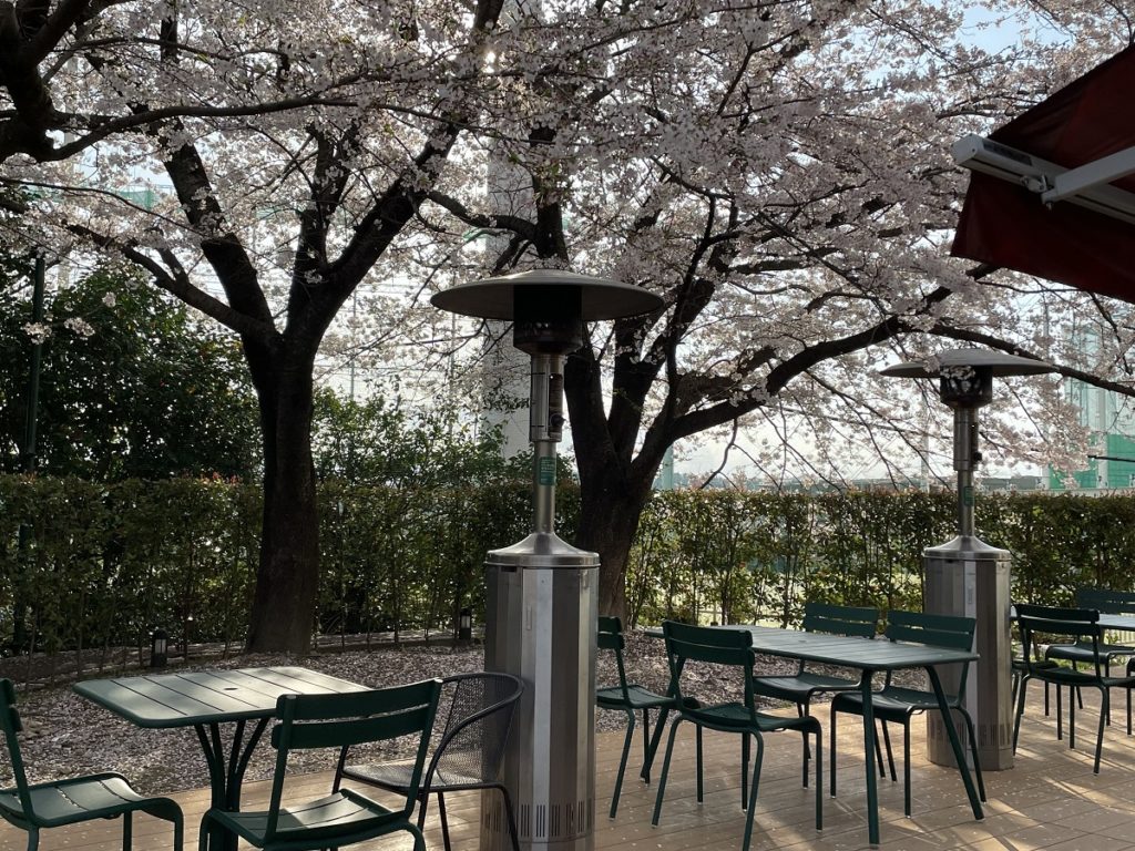 桜の季節のイートインコーナー