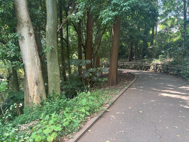陣ケ下渓谷公園舗装された道