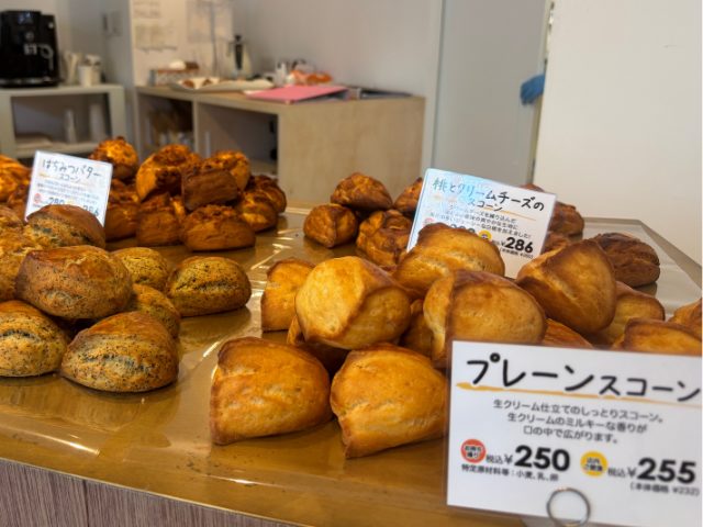 キィニョンスコーン