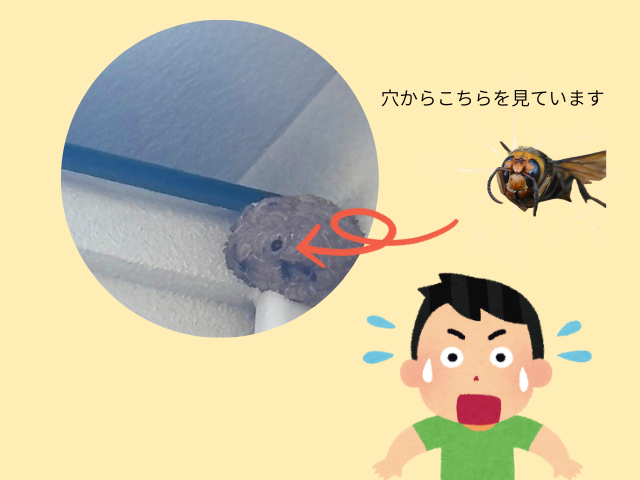 スズメバチの巣