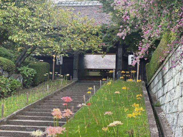 参道とヒガンバナ