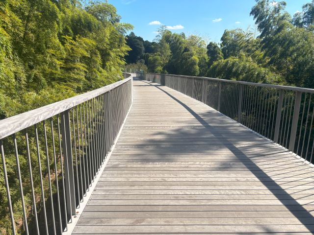 大花壇へ続く遊歩道