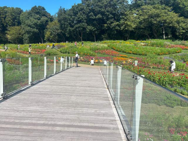 里山ガーデンフェスタの遊歩道