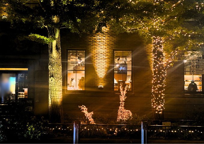 トナカイのイルミネーション