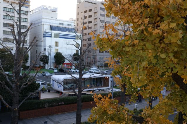 Brew & Blendを山下公園からみたところ