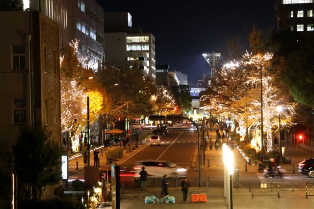 日本大通りのイルミネーション