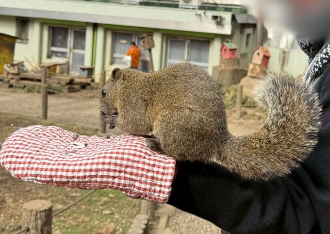餌をあげているところ