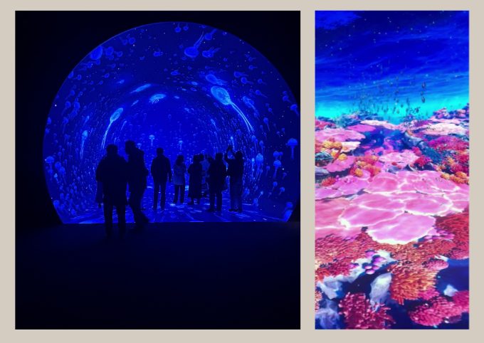 ワンダリア横浜の映像