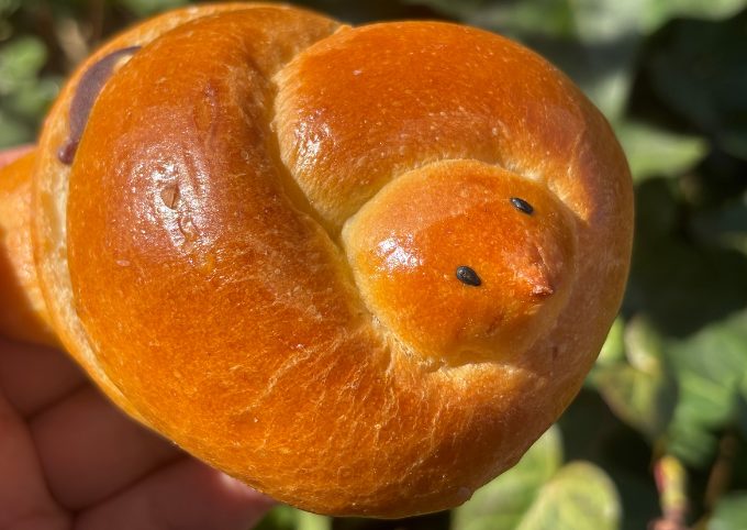 ワタリドリ 看板パン ひめうずらパン