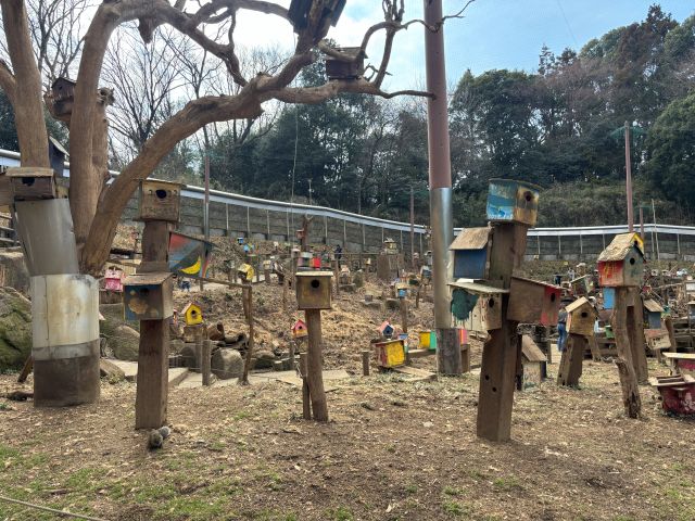 町田リス園のリスの放し飼い場所