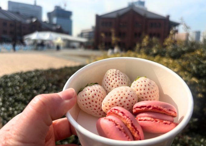 白苺と苺マカロン