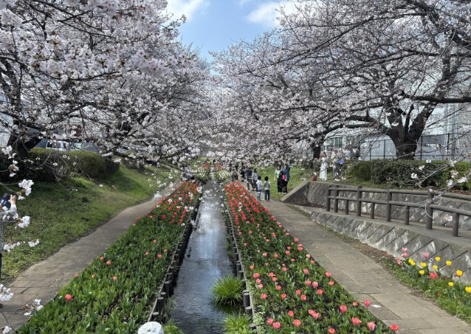 江川せせらぎ緑道
