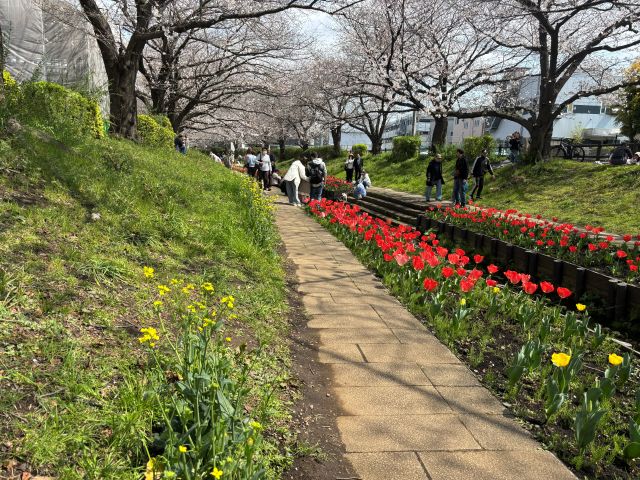 江川せせらぎ緑地