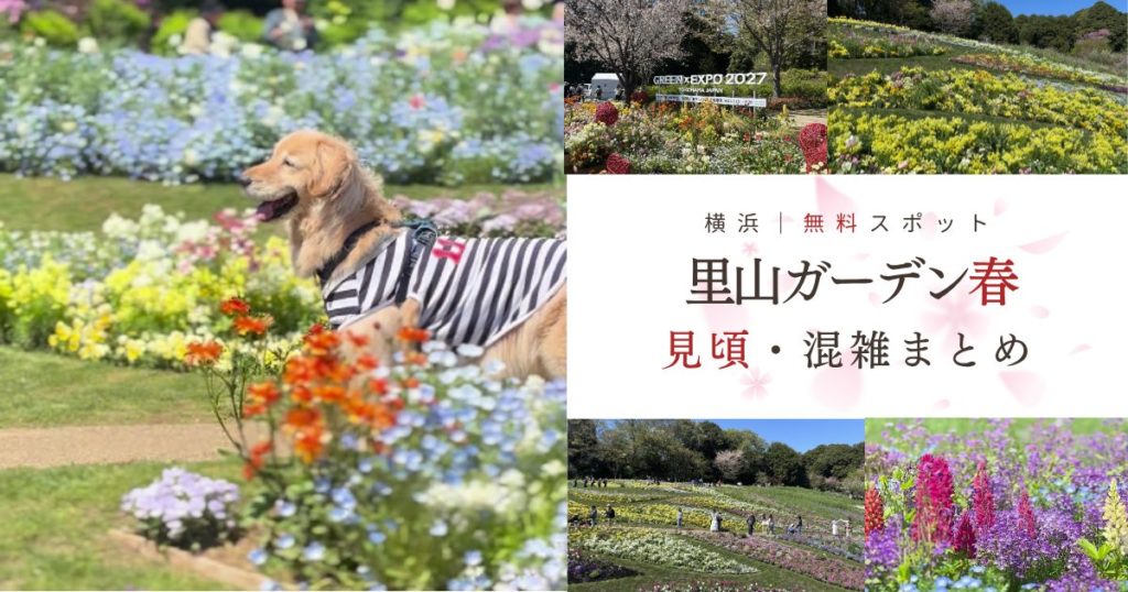 里山ガーデンフェスタ春の大花壇と花を楽しむ犬の風景